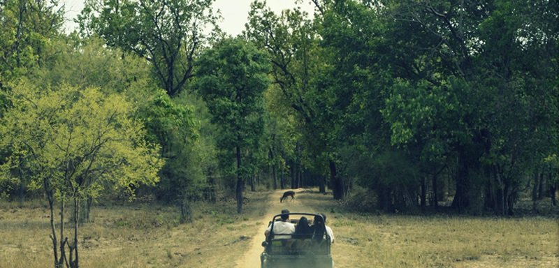 Radhey Krishna Tour & Travels