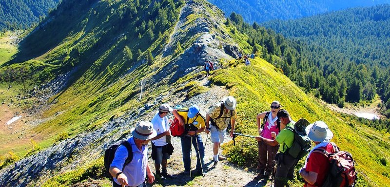 Radhey Krishna Tour & Travels