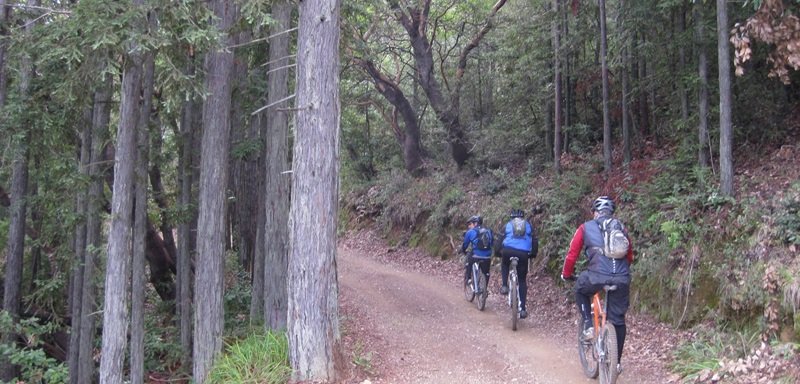 Radhey Krishna Tour & Travels