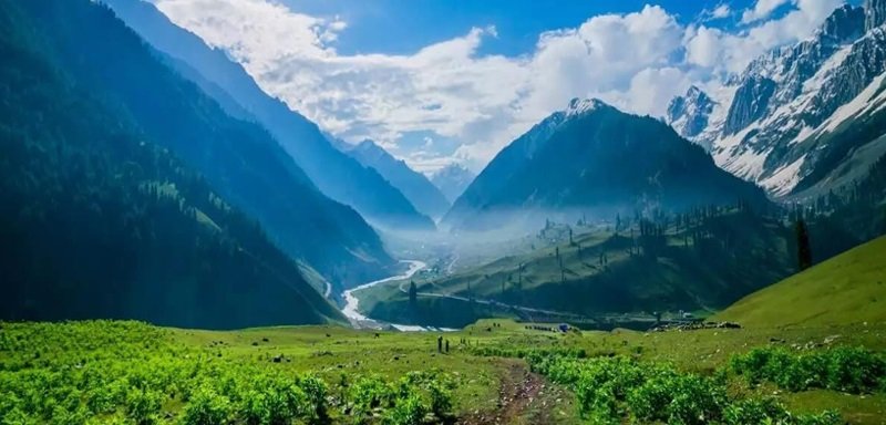 Radhey Krishna Tour & Travels