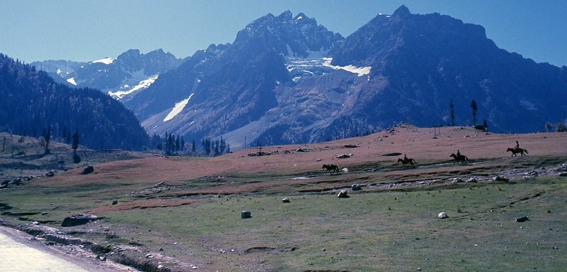 Radhey Krishna Tour & Travels