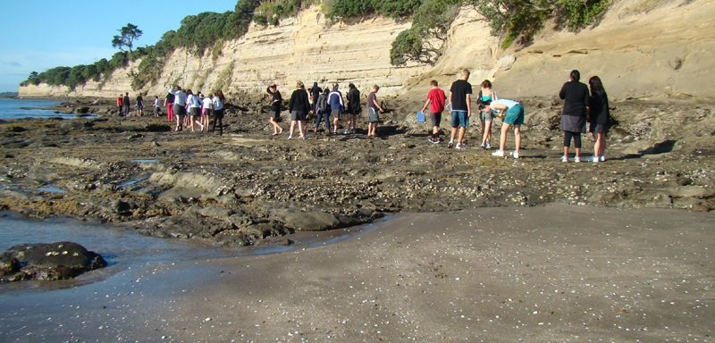 Radhey Krishna Tour & Travels